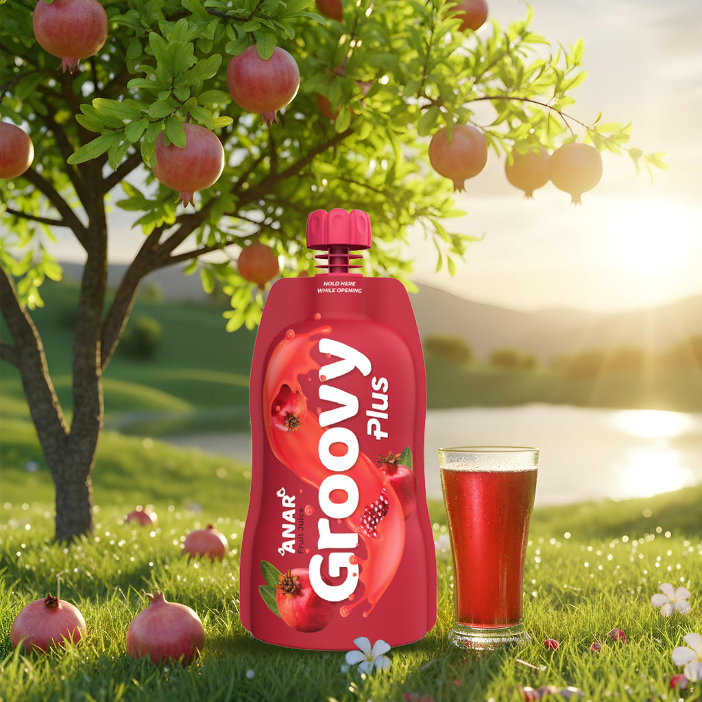 Anar Juice Pack of 12