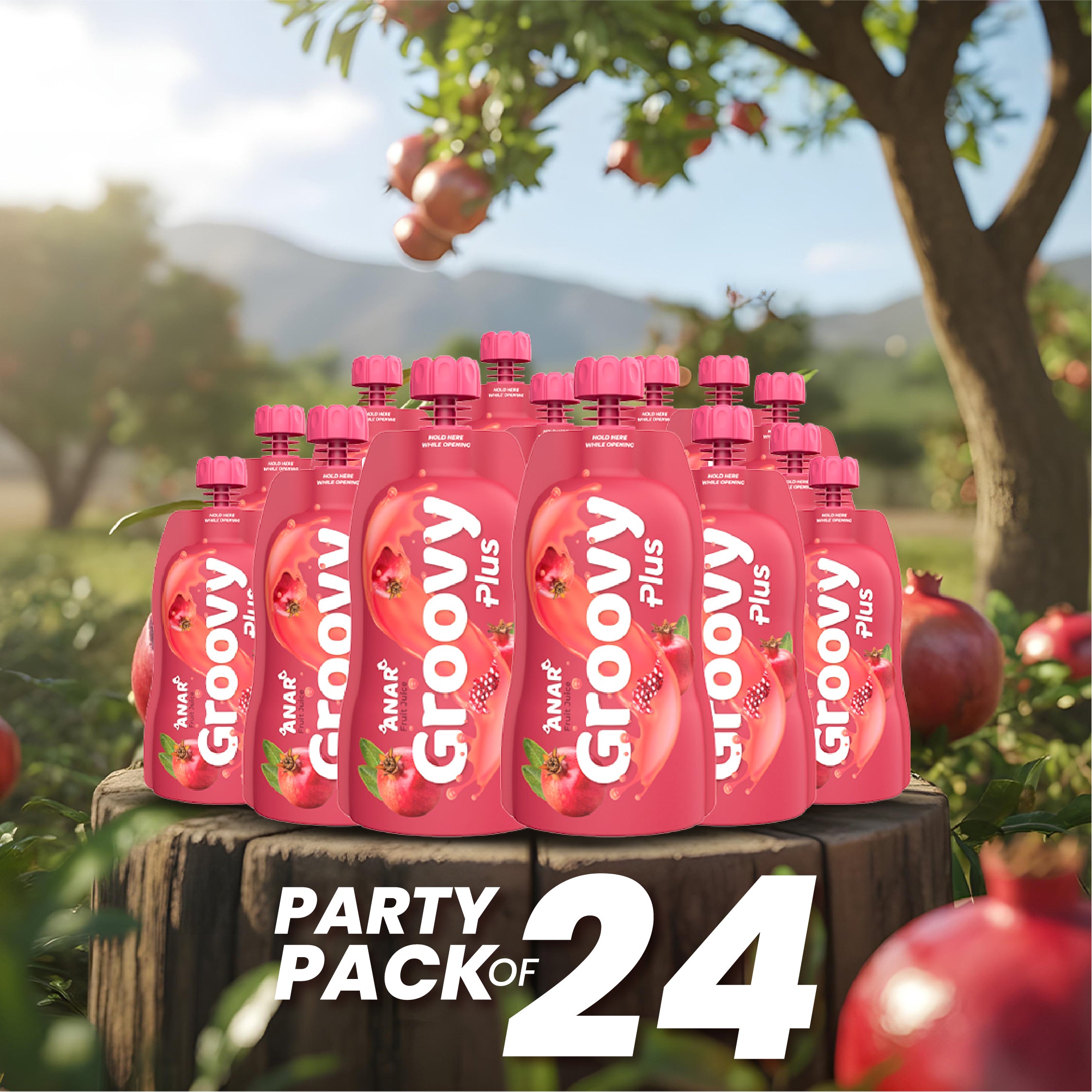 Anar Juice Pack of 24 Party Pack