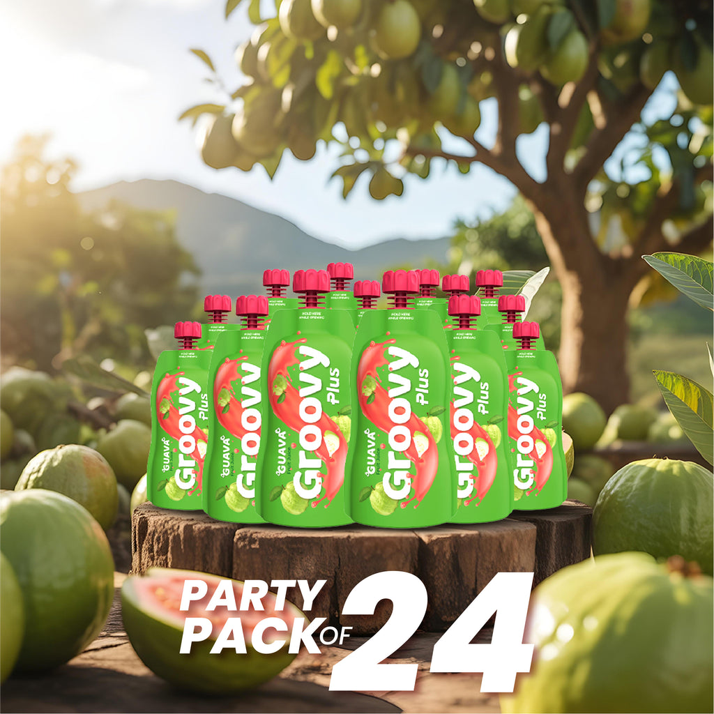 Guava Juice Pack of 24 Festive Pack