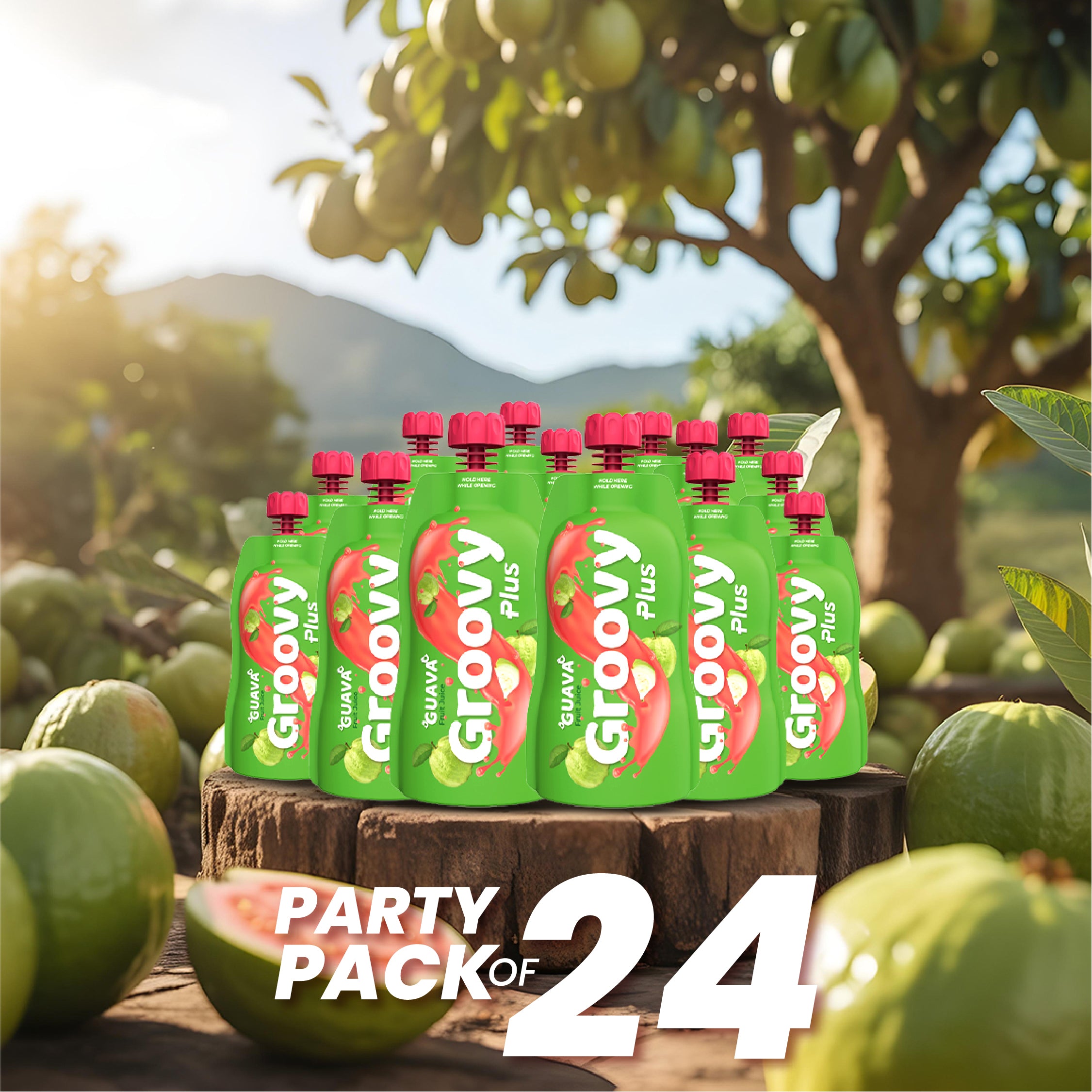 Guava Juice Pack of 24 Festive Pack