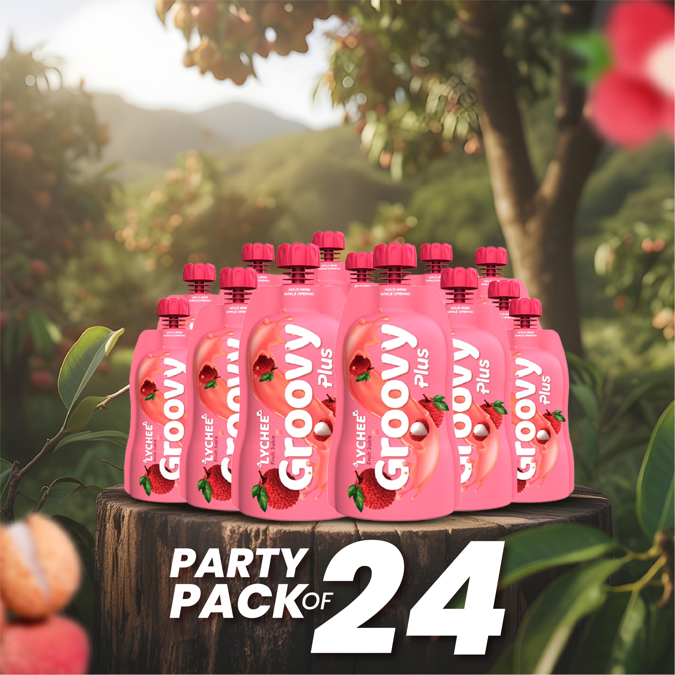 Lychee Juice PAck of 24 Party PAck