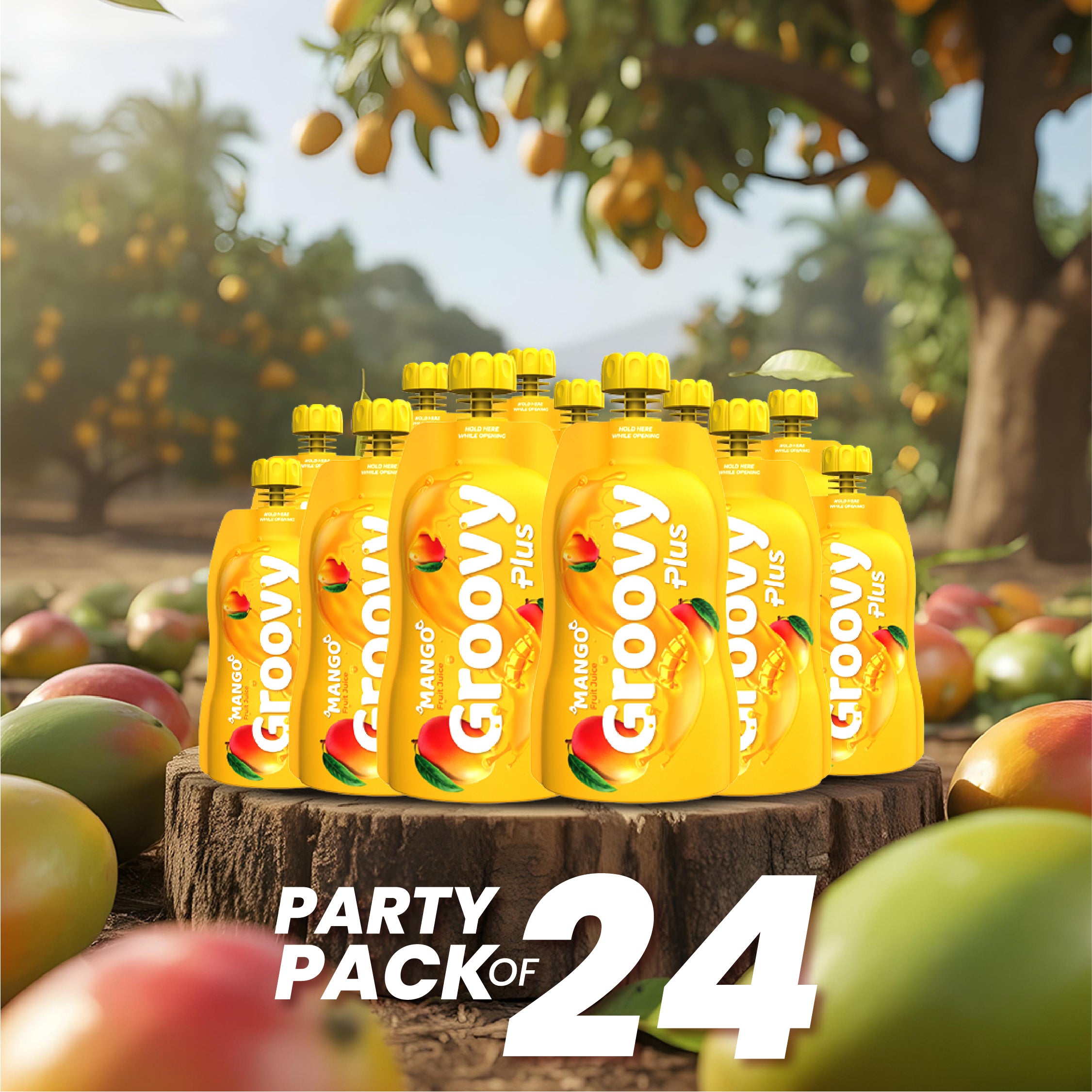 Mango Juice Pack of 24 Party PAck